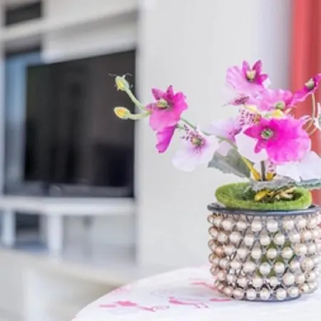 Appartement Olimpia *